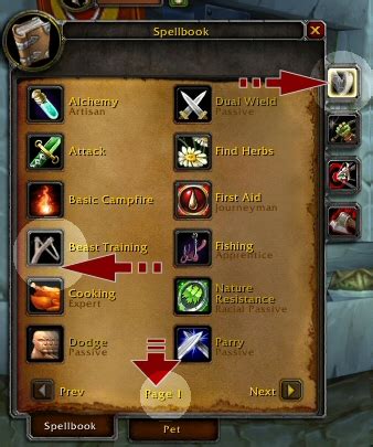 petopia classic wow|wotlk classic hunter pet guide.